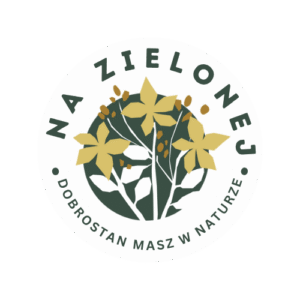 na zielonej logo