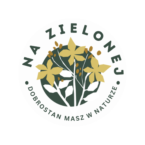 na zielonej logo 2