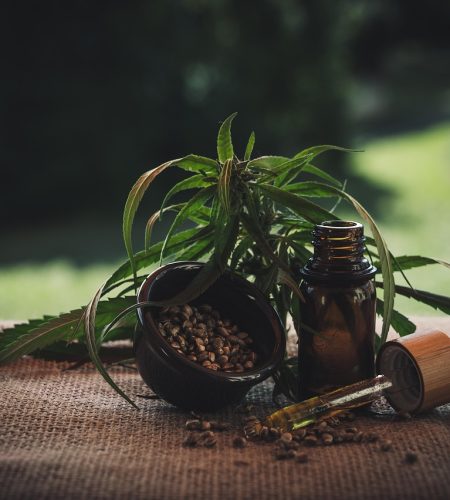 cbd öl, cbd oil, oil, cbd, superfood, cannabidiol, hemp, weed, health, hanf, cbd oil, cbd oil, cbd oil, cbd oil, cbd oil, cbd, cbd, cbd